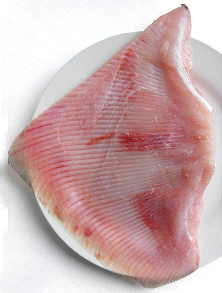 what is a skate fish|Skate Fish Taste .